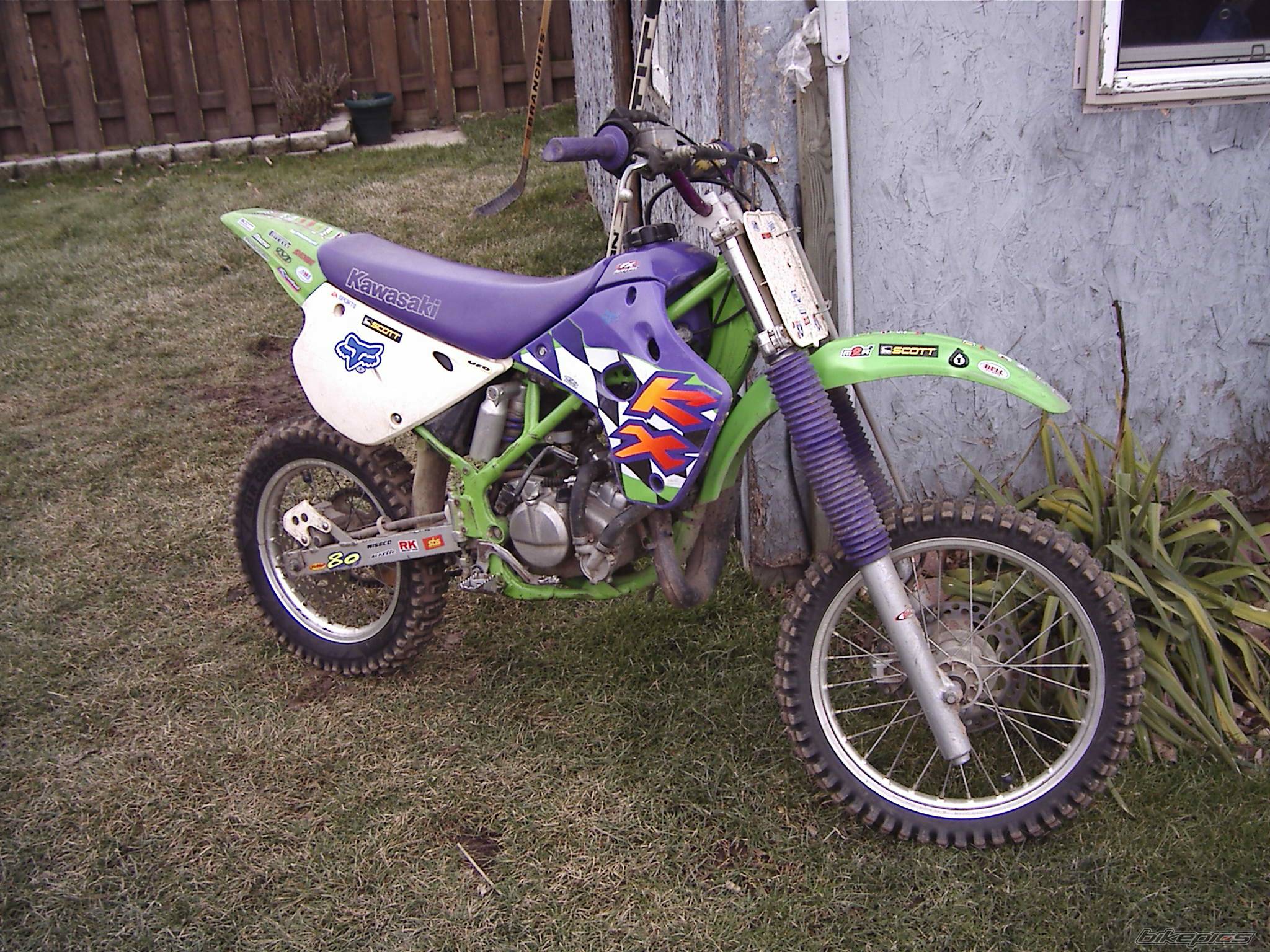 Photo 117978