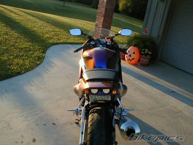 Photo 11798