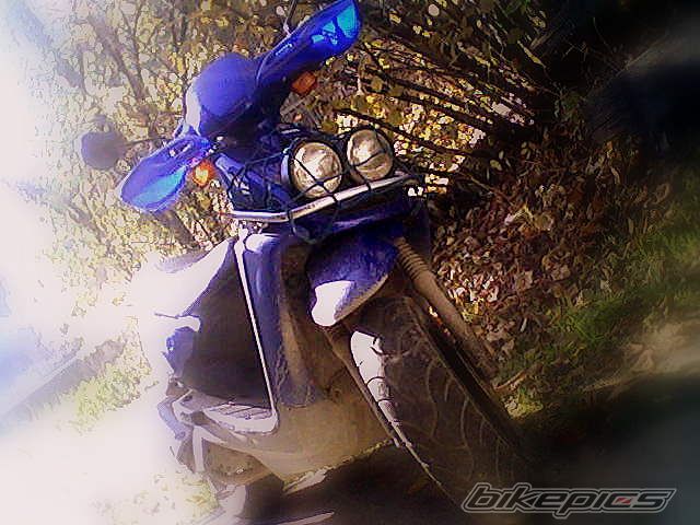 Bike Photo 1179844