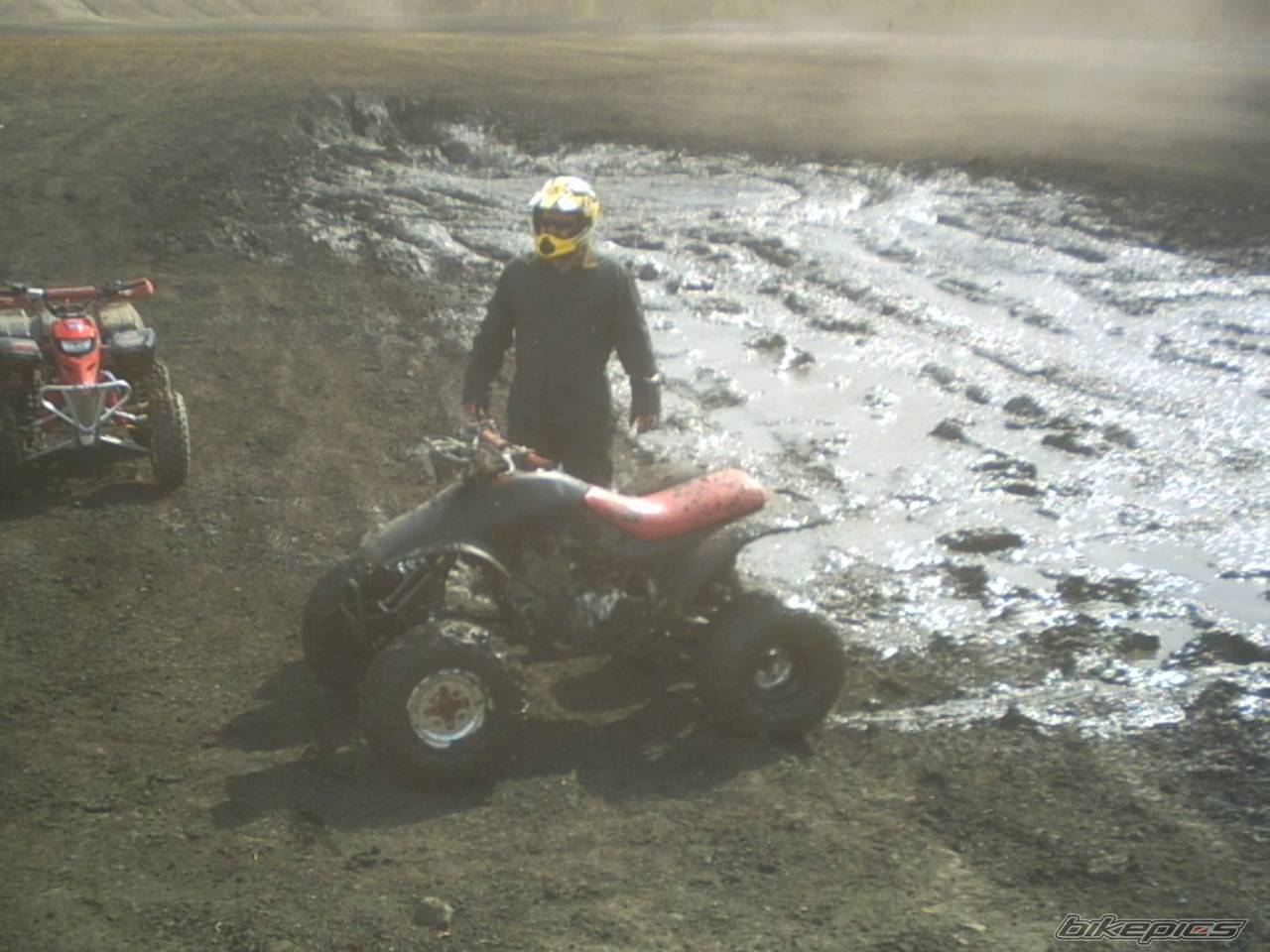 Photo 117985