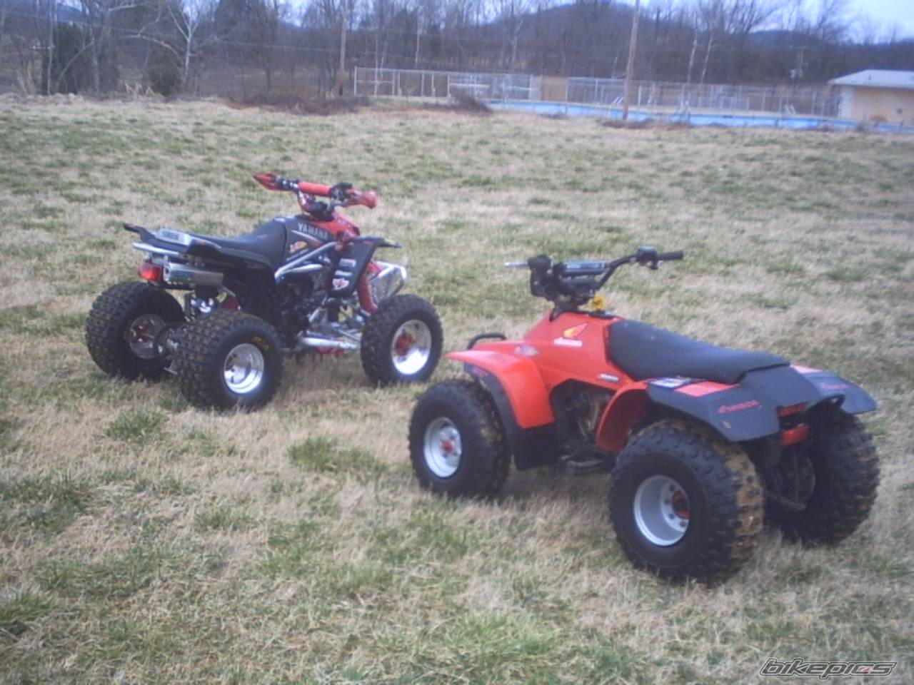 Photo 117988