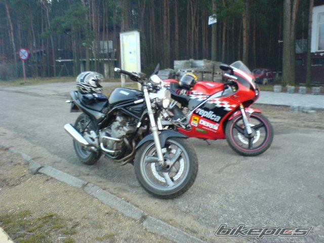 Photo 1180033