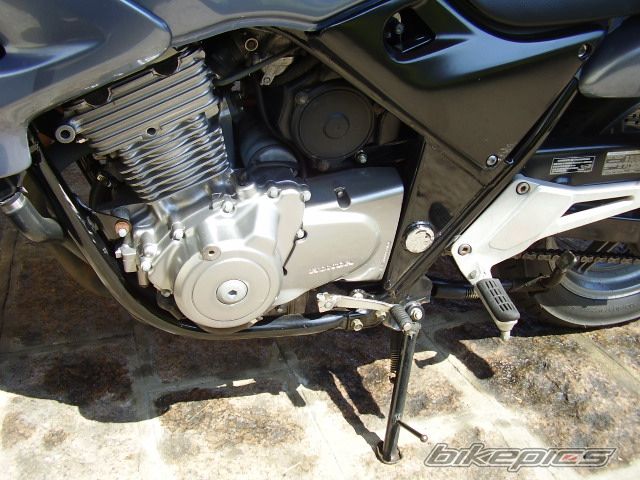Photo 1180351