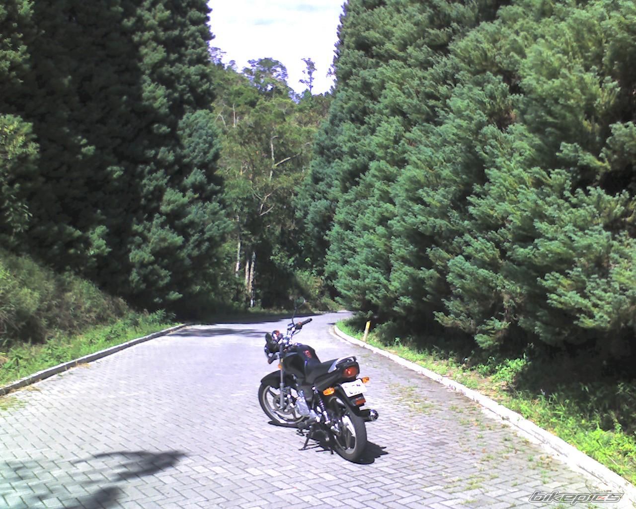 Photo 1180402