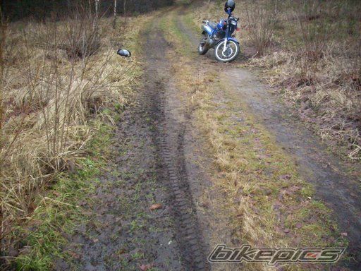 Photo 1180462