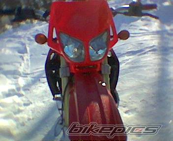 Photo 118063