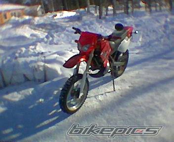 Photo 118065