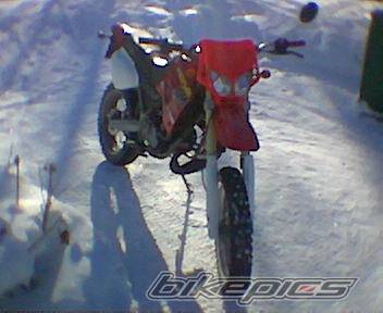 Photo 118067