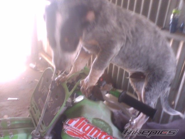 Photo 1180732