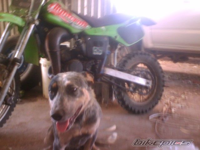 Photo 1180733