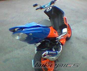 Photo 118077