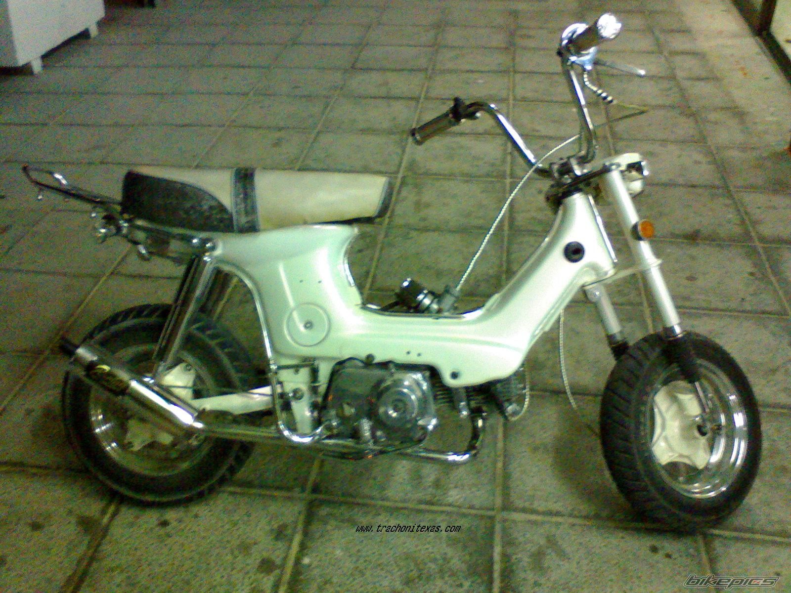Photo 1180793