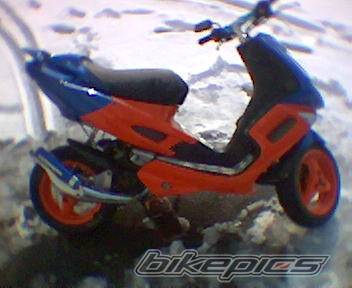 Photo 118081