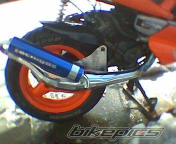 Photo 118085
