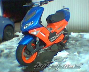 Photo 118089
