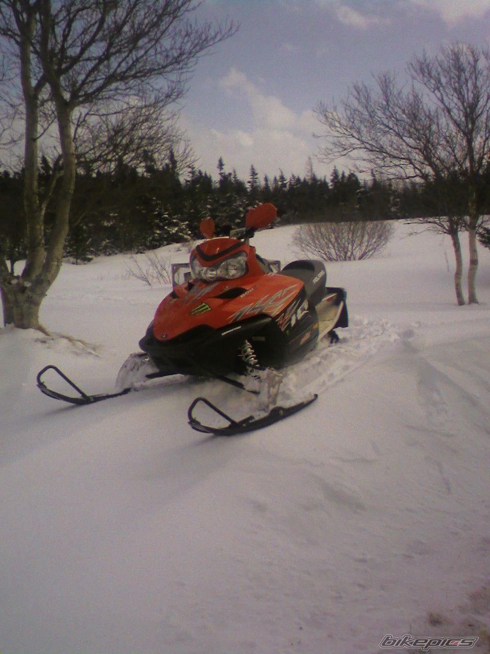 Photo 1181011