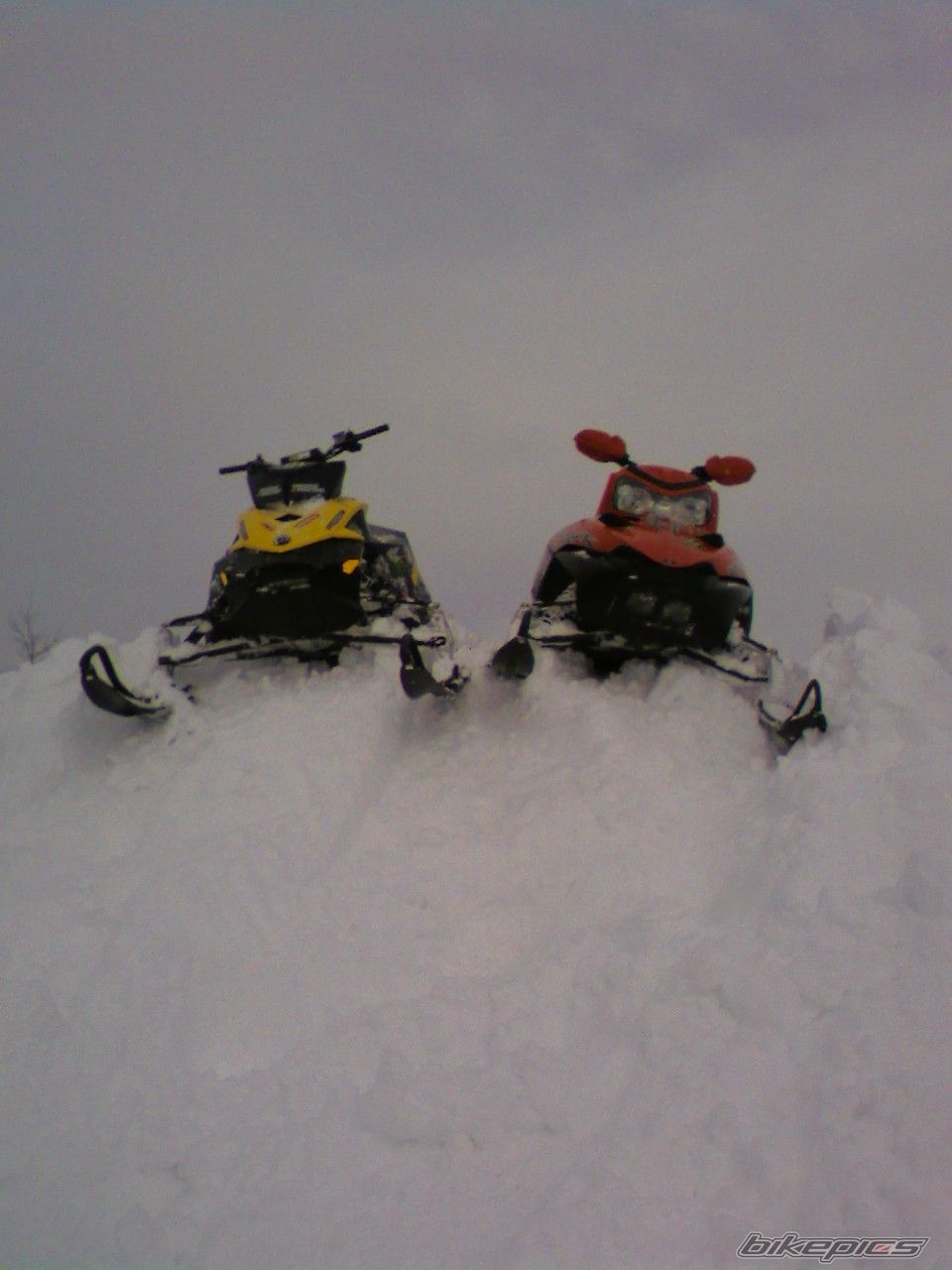 Photo 1181023