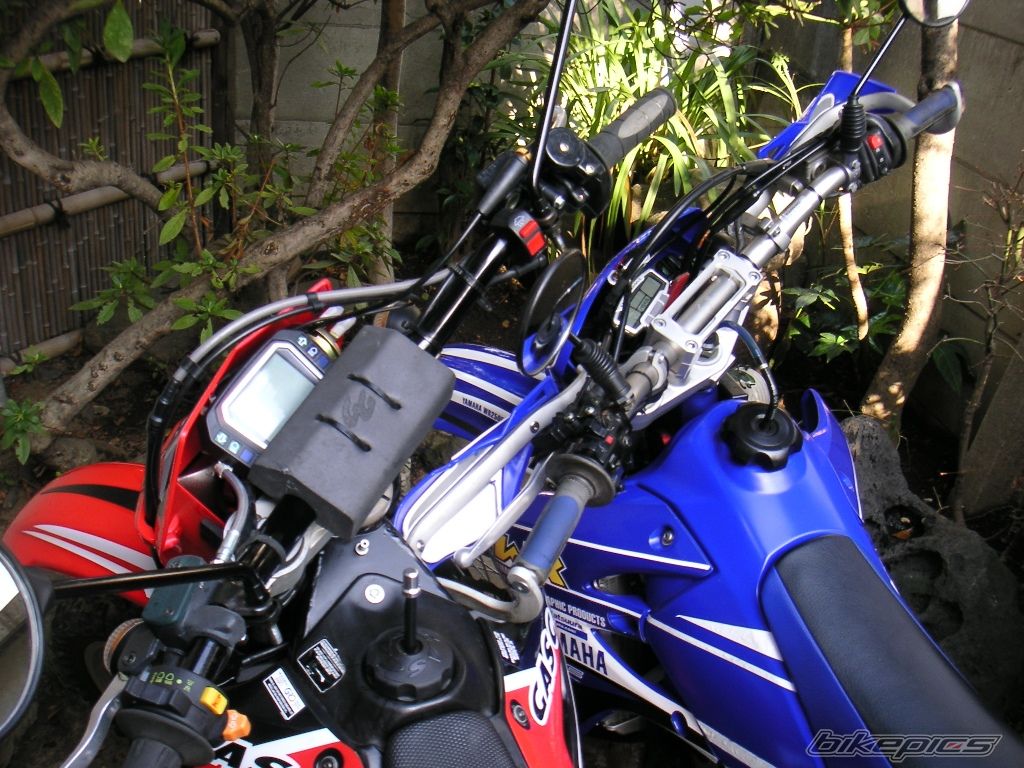 Photo 1181039