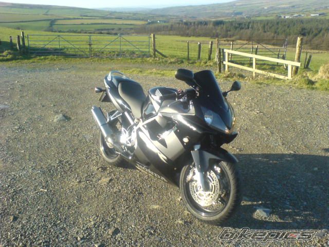 Photo 1181064