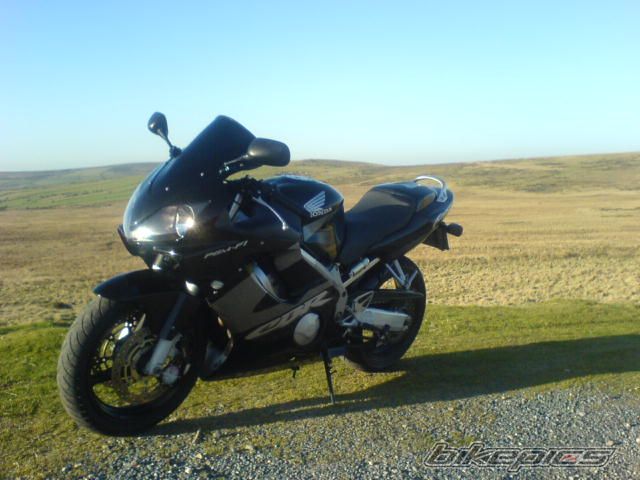 Photo 1181066