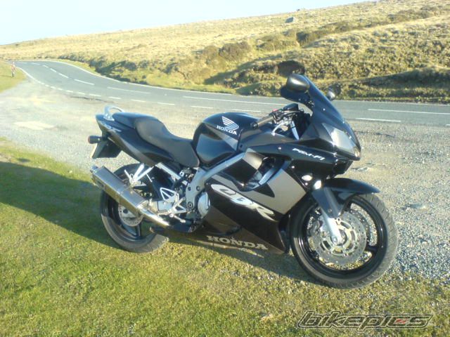 Photo 1181068