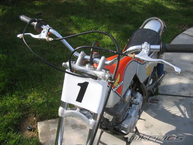 Photo 1181091