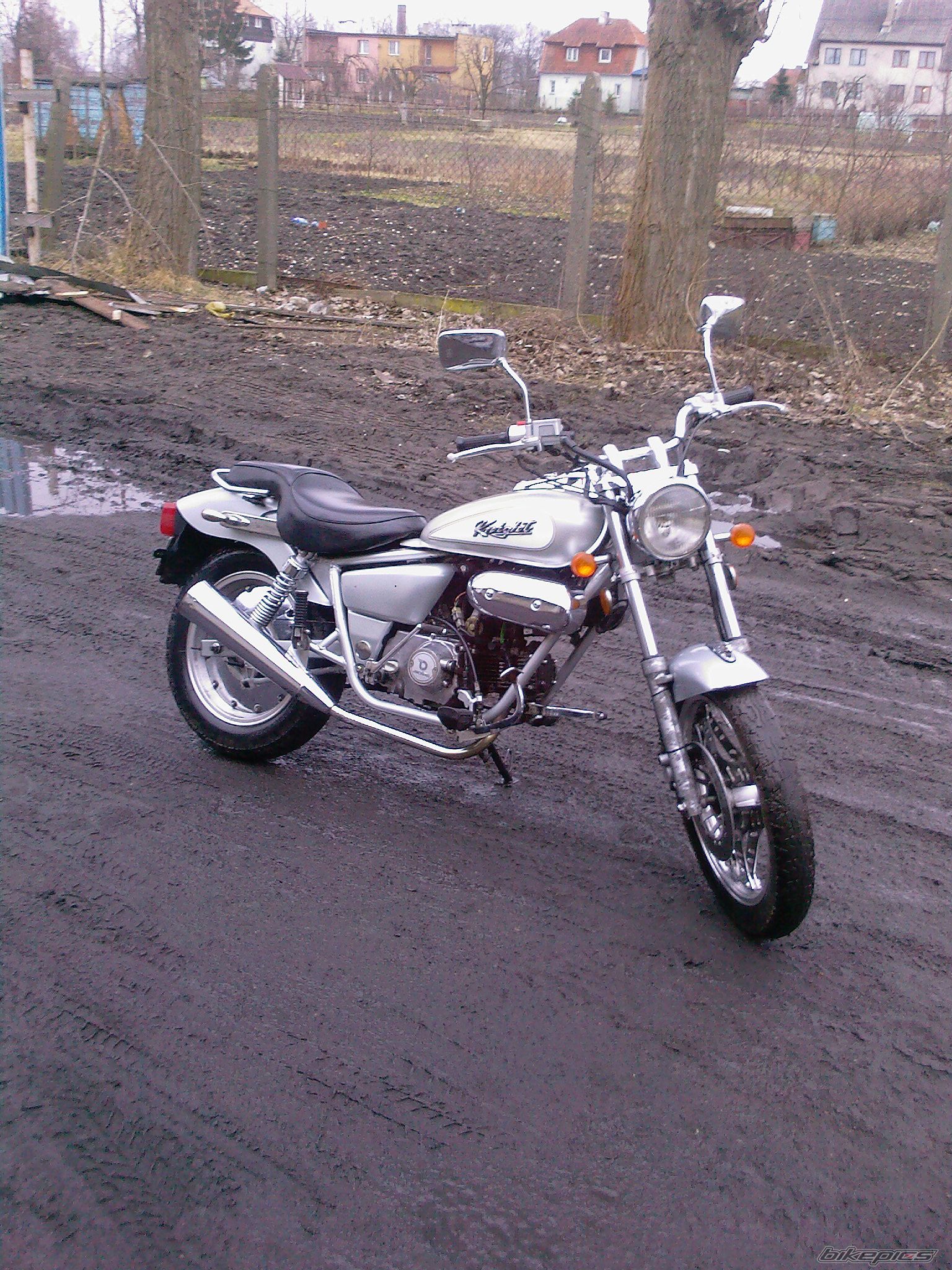 Photo 1181096