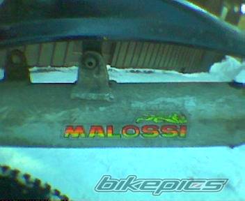 Photo 118110