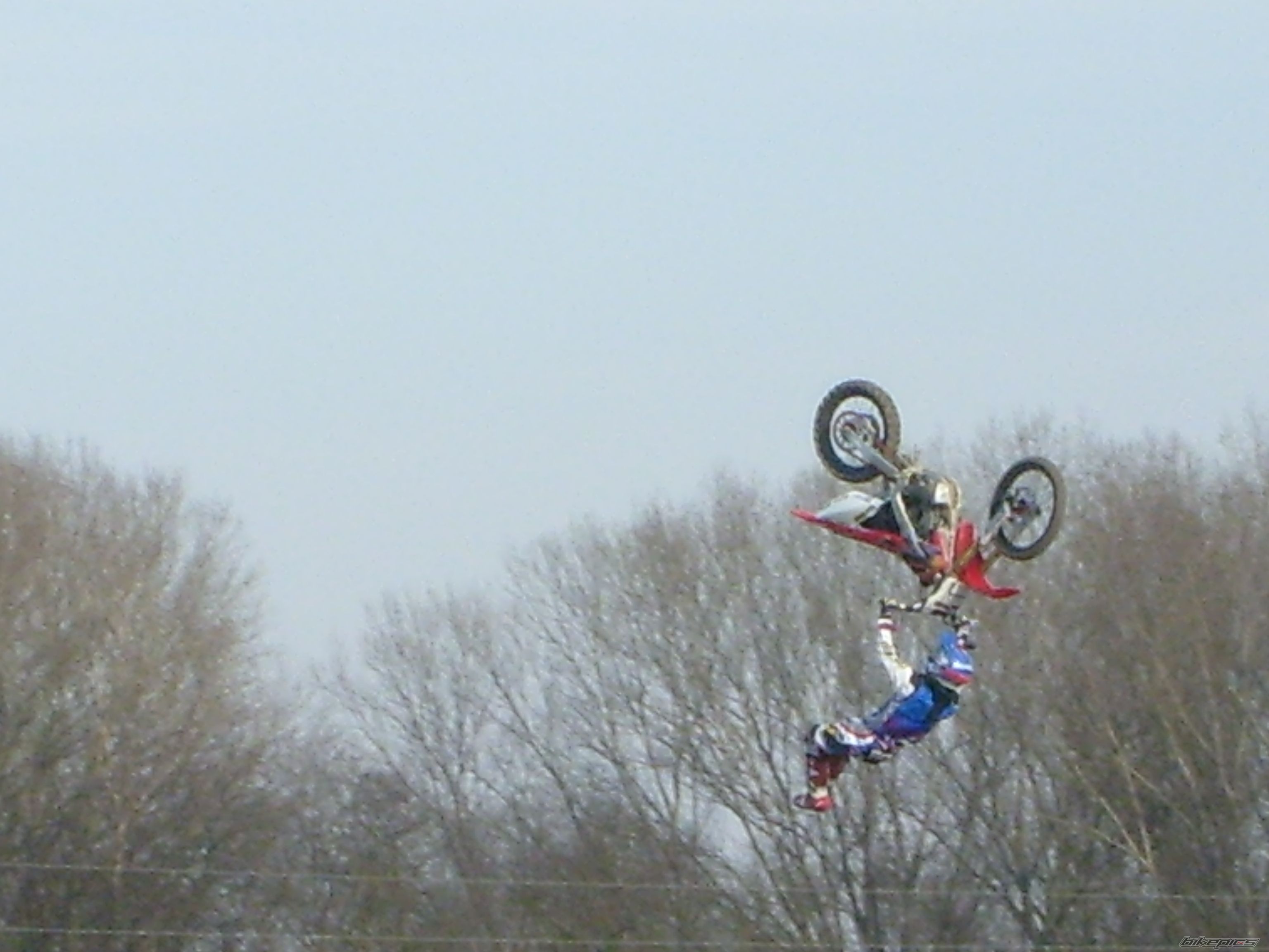 Photo 1181209