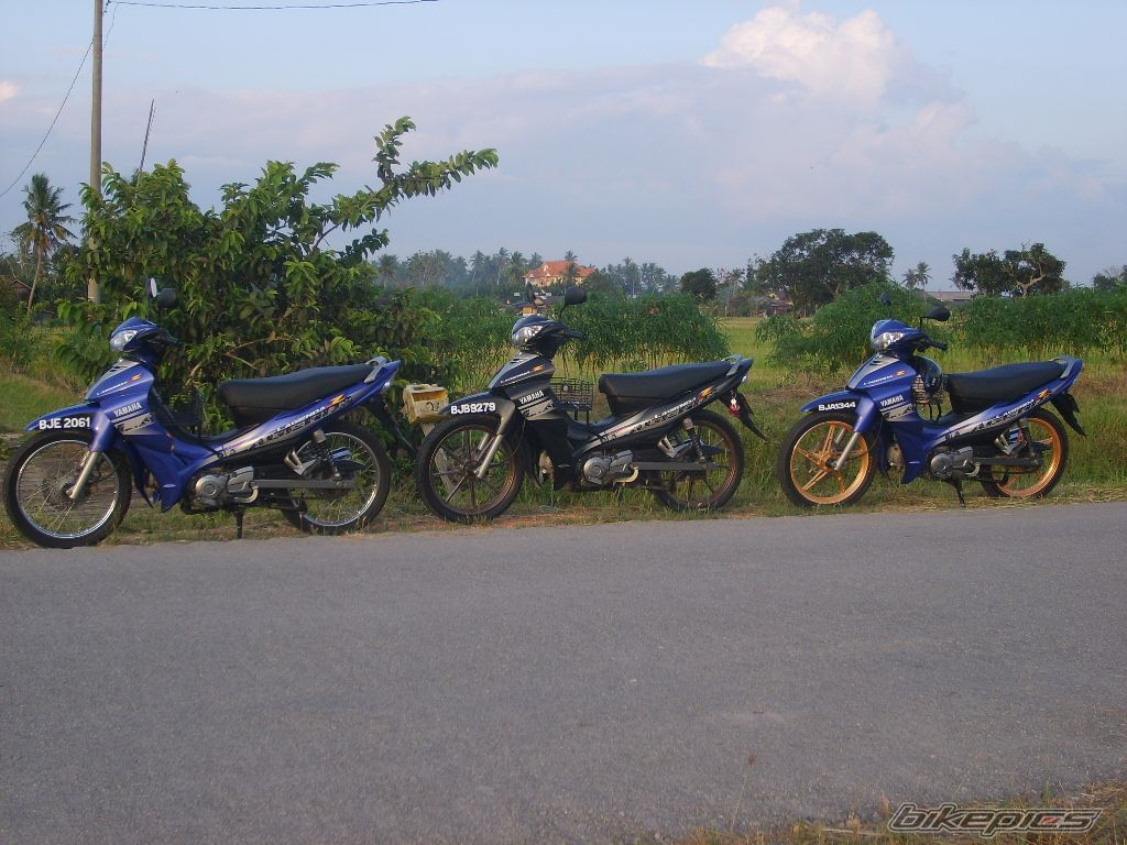 Photo 1181210