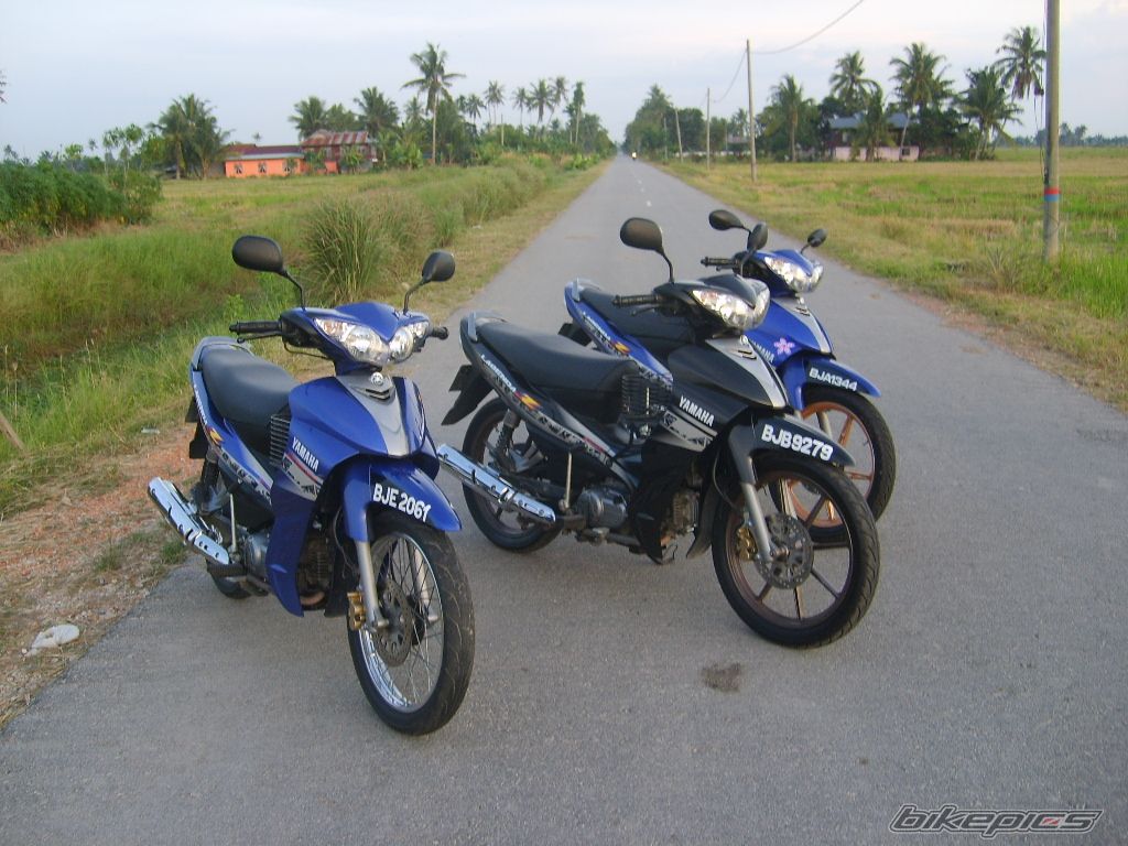 Photo 1181212