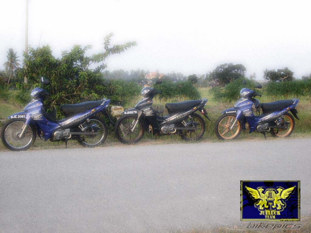 Photo 1181217