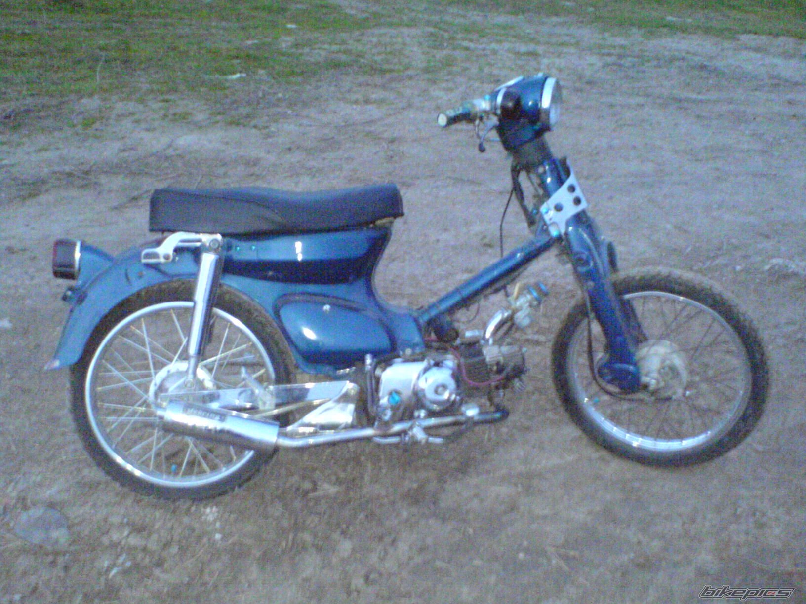 Photo 1181384