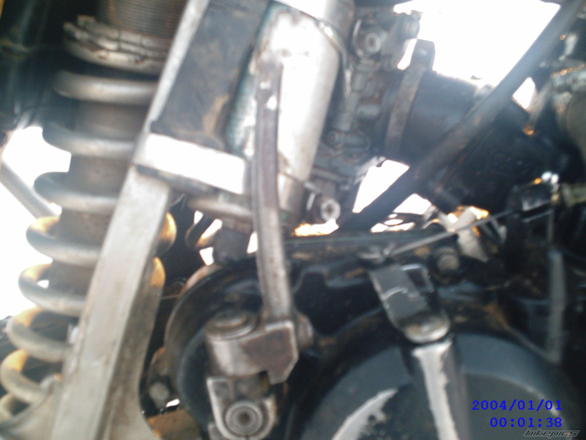 Photo 1181401
