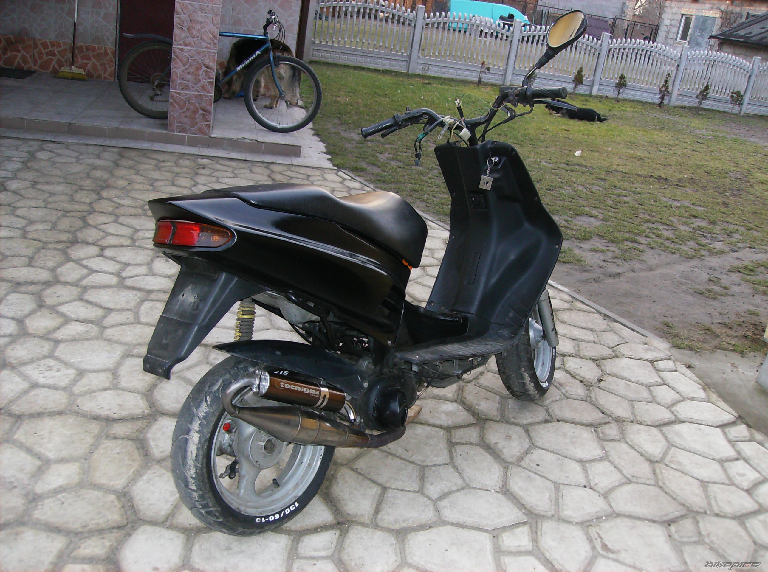 Photo 1181420