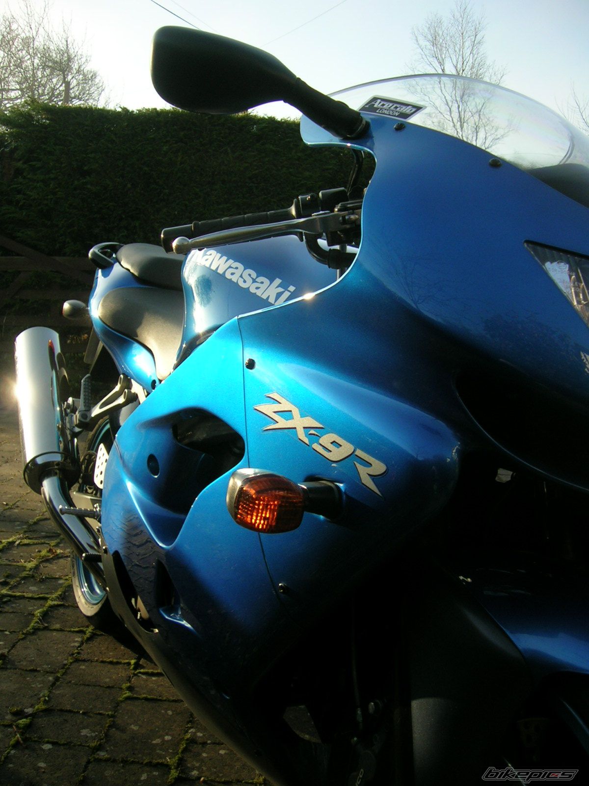 Photo 1181437