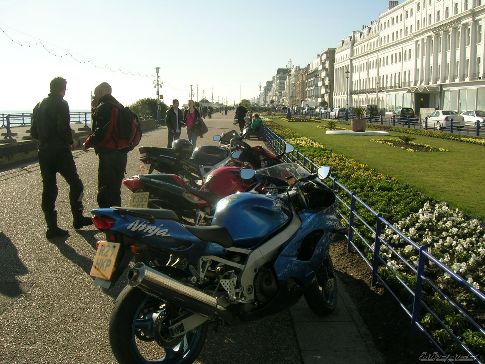 Photo 1181441