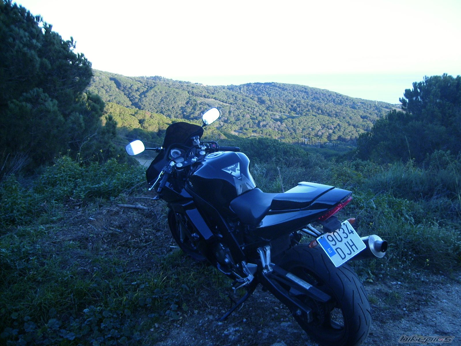 Photo 1181461
