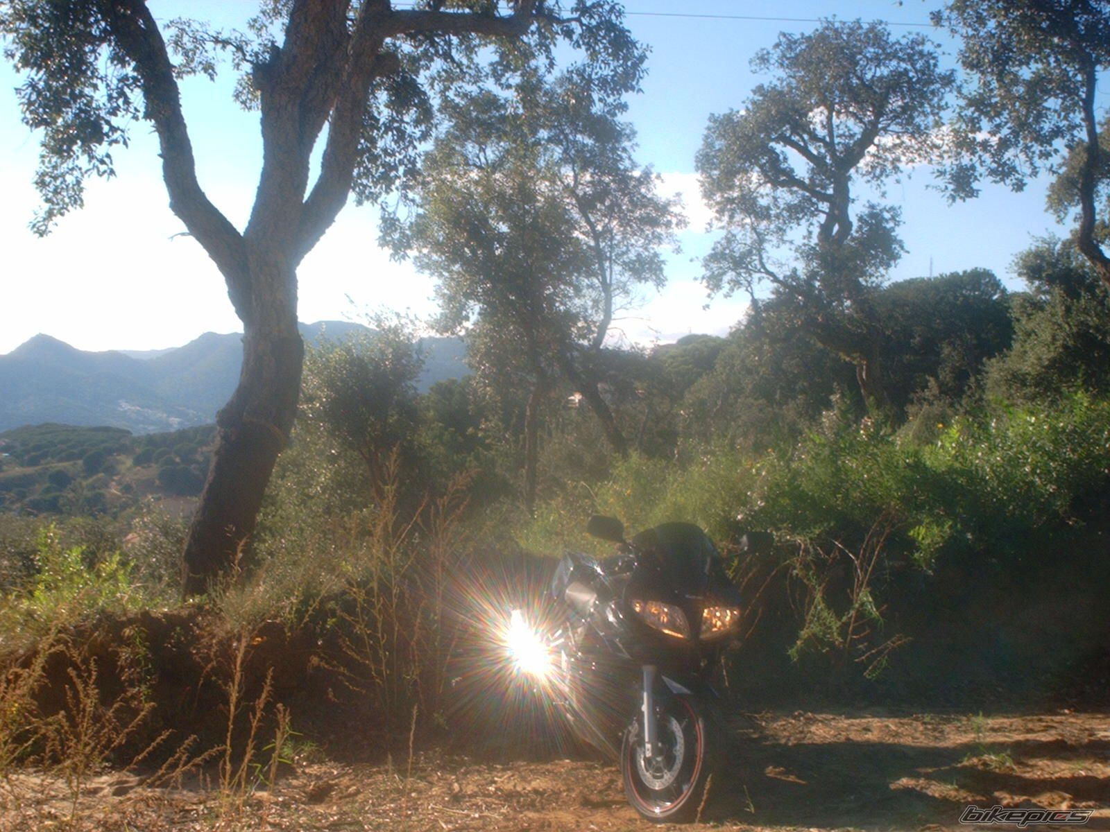 Photo 1181466