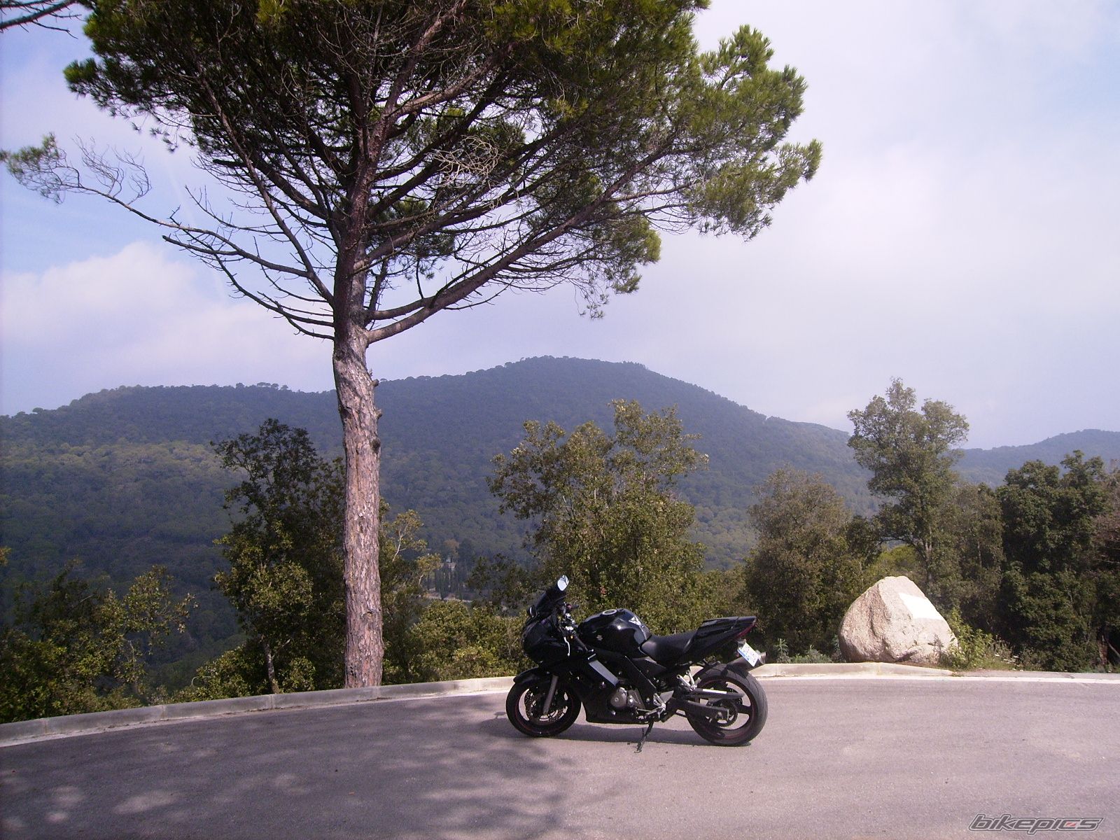 Photo 1181473