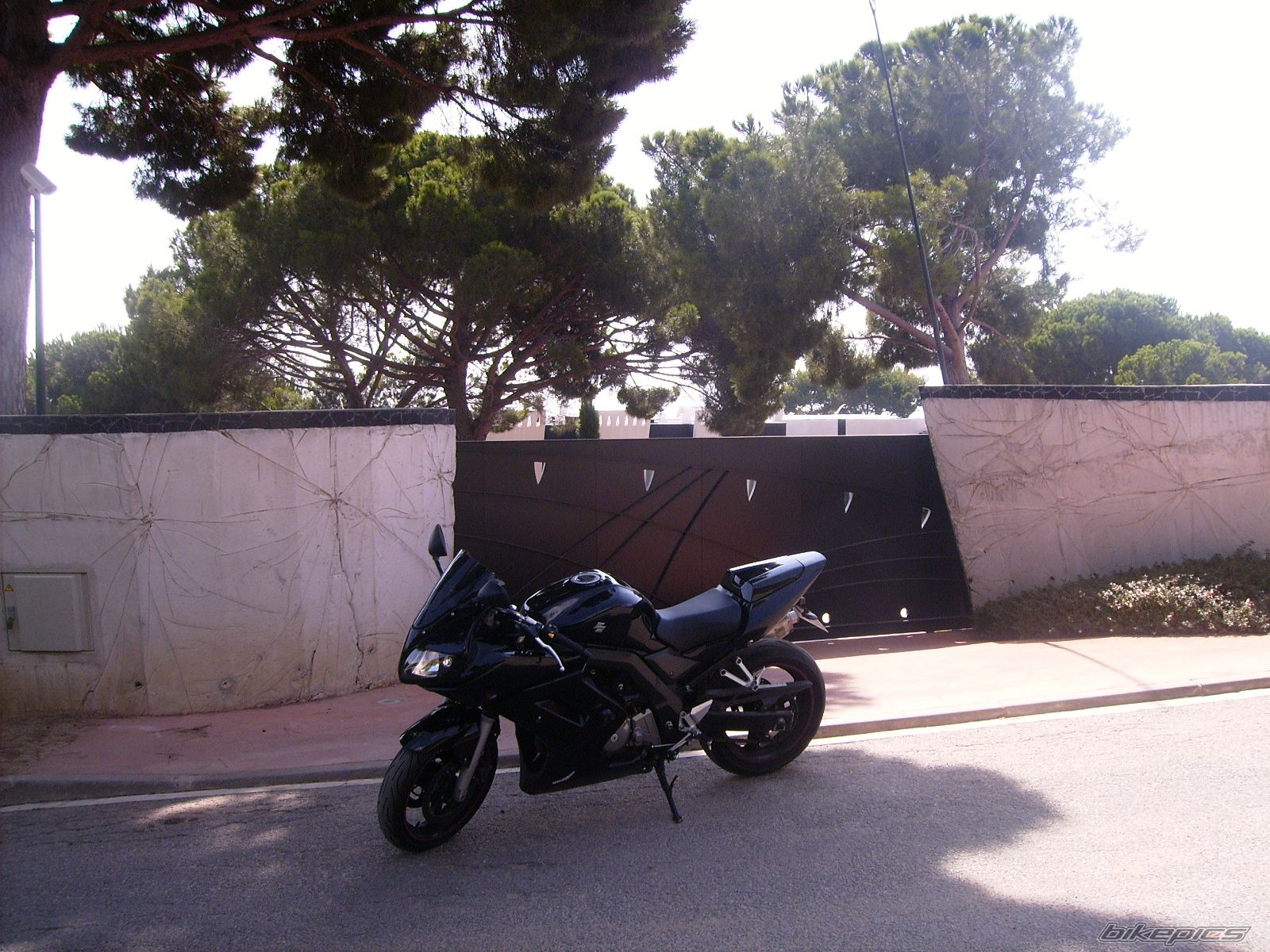 Photo 1181494