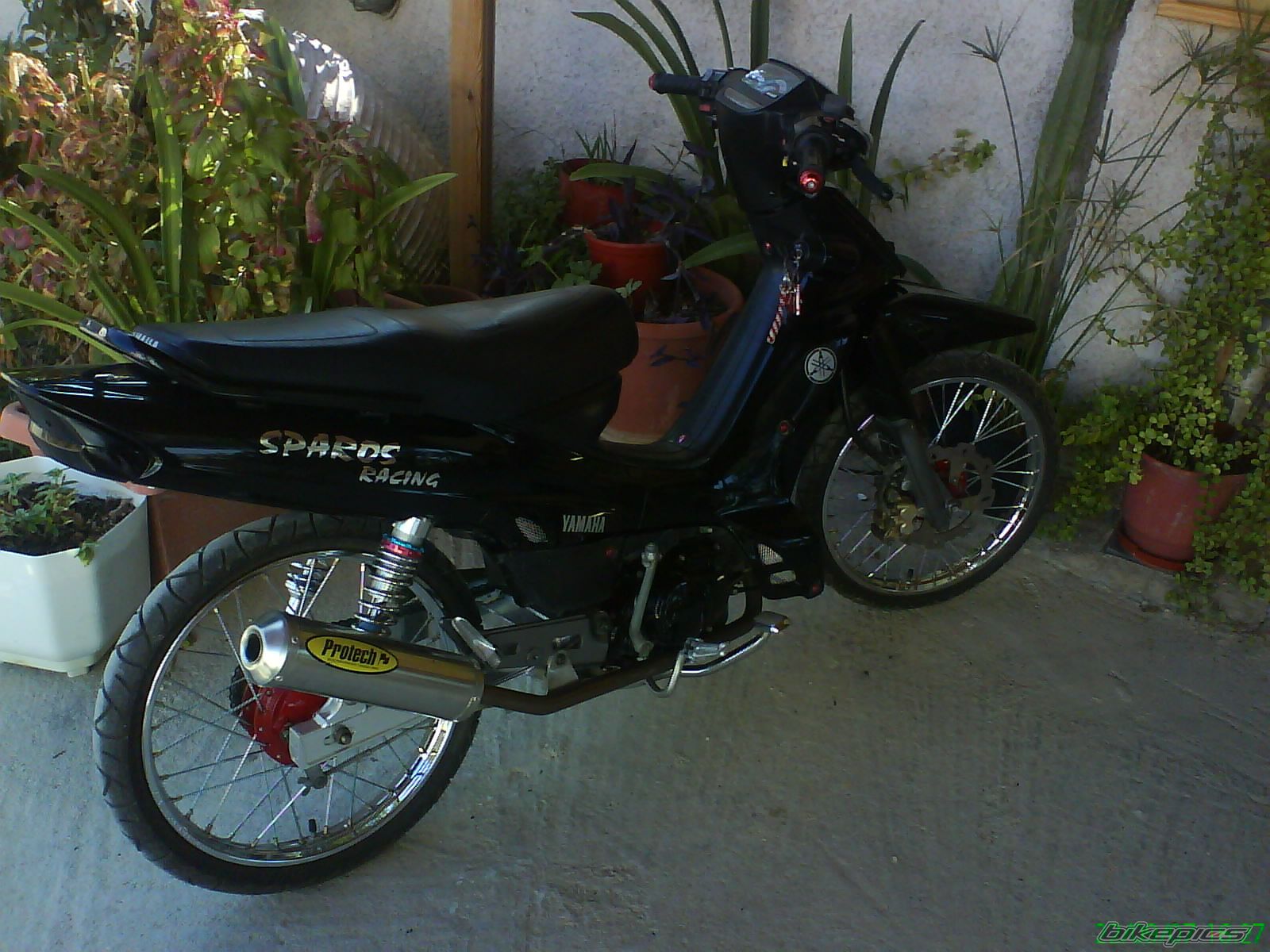 Photo 1181495