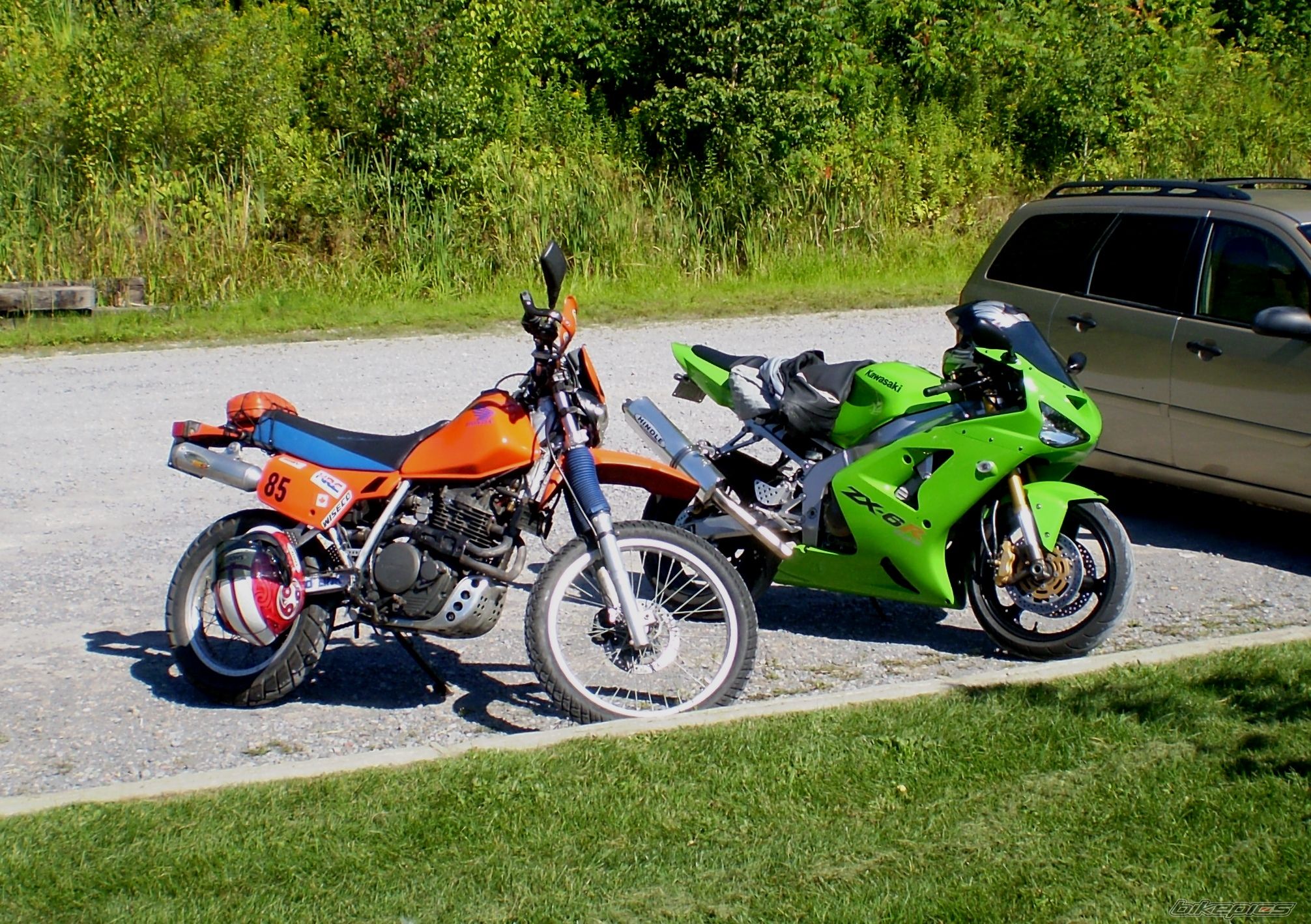 Photo 1181564