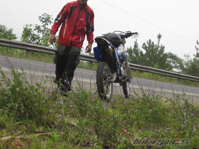 Photo 1181585