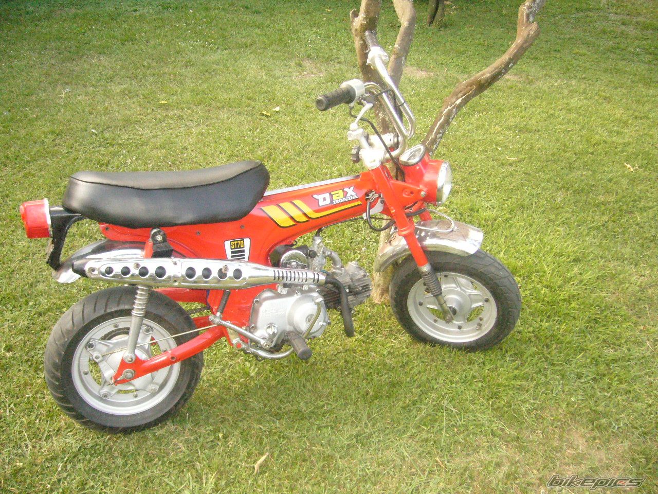 Bike Photo 1181597
