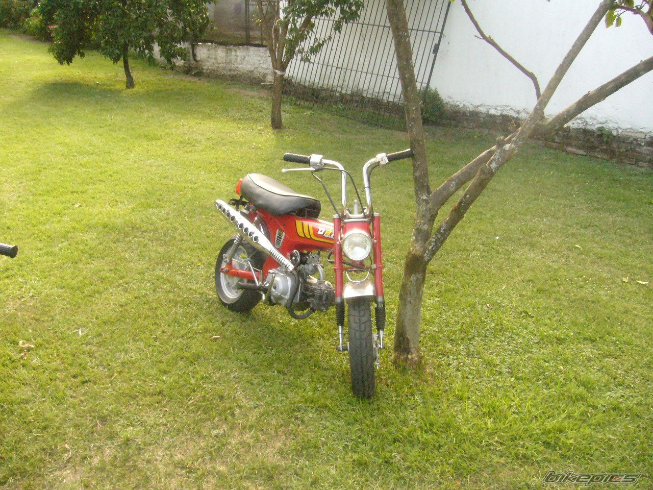 Photo 1181598