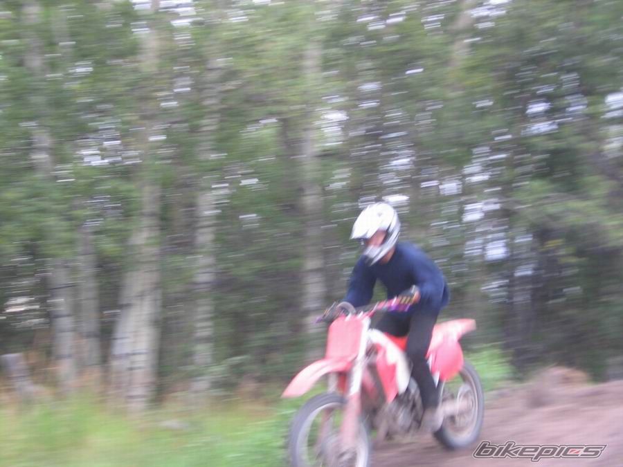 Photo 1181665
