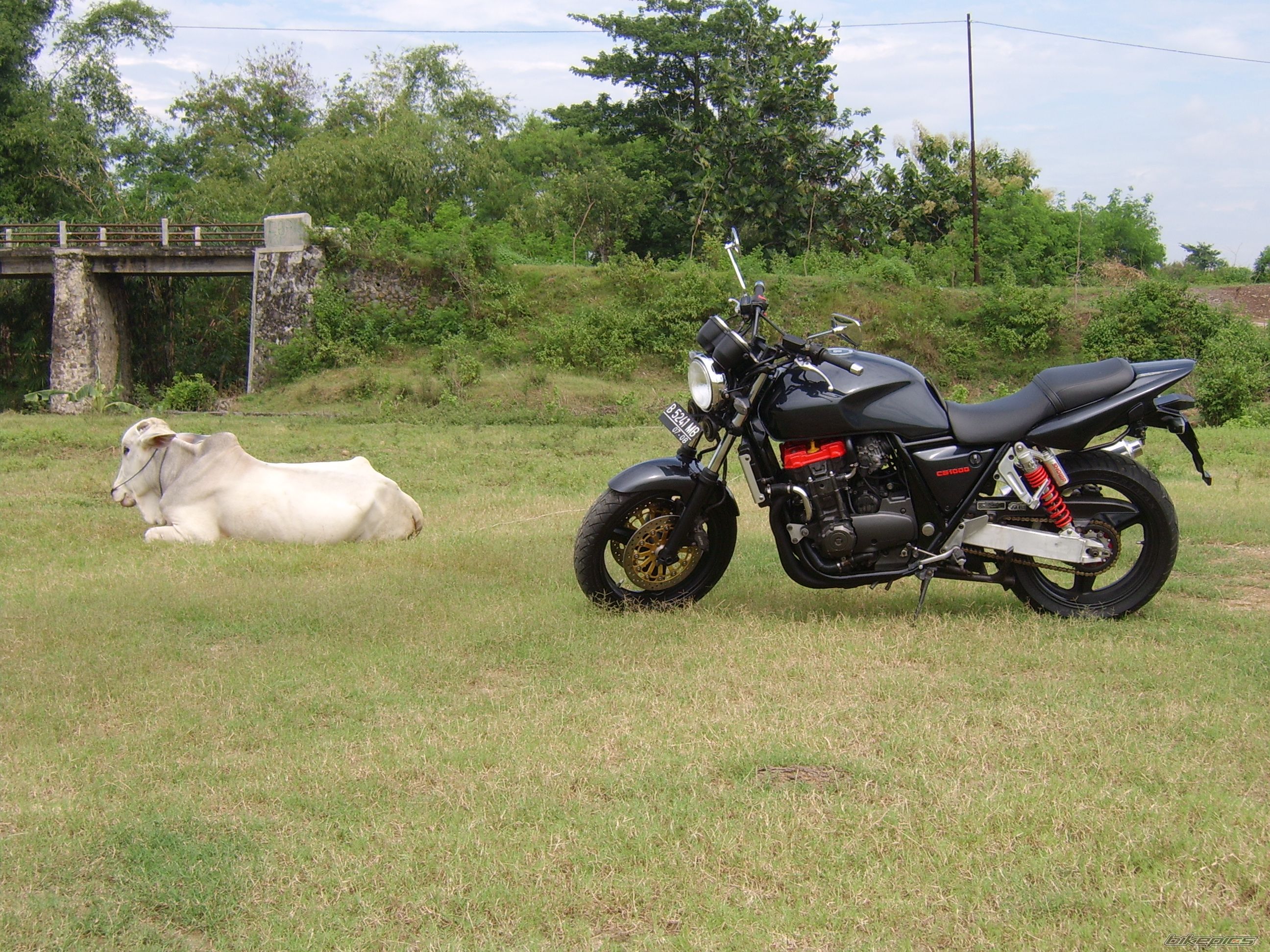 Bike Photo 1181727