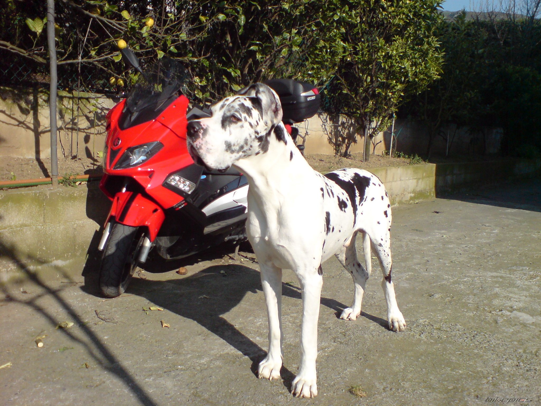 Photo 1181745