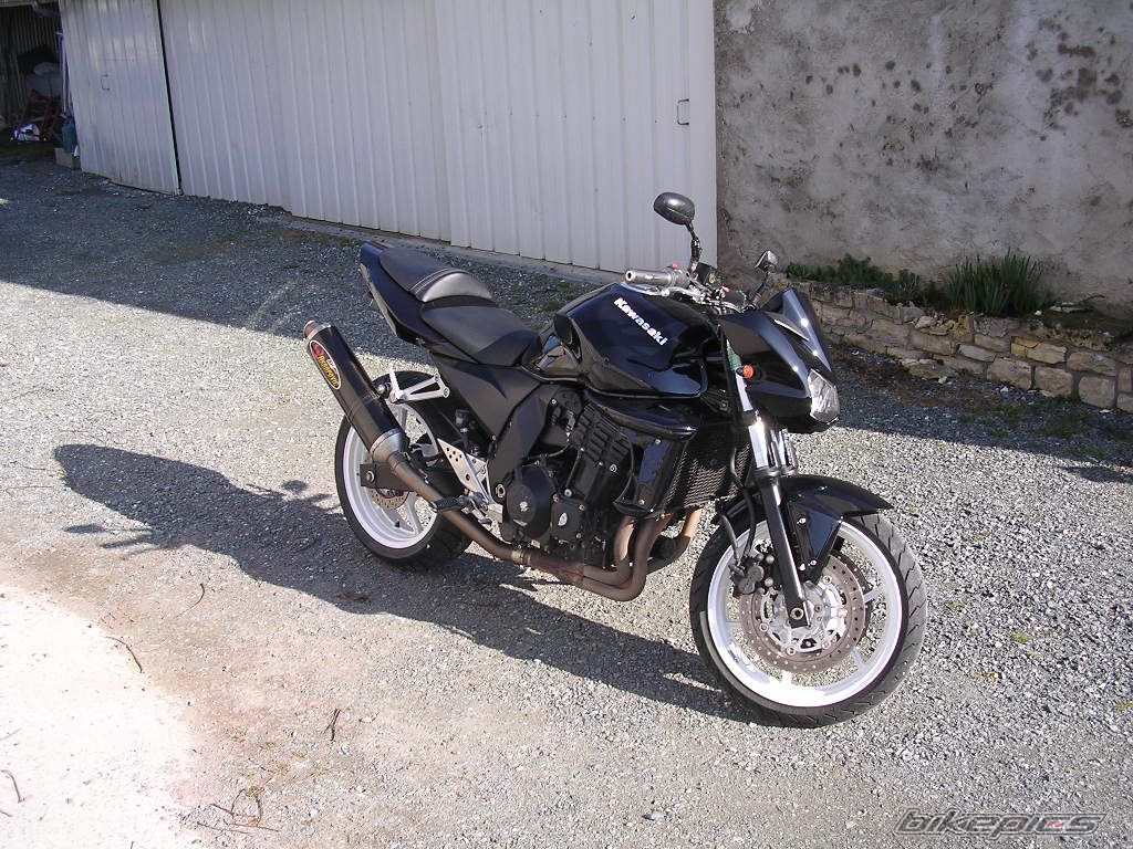 Photo 1181791